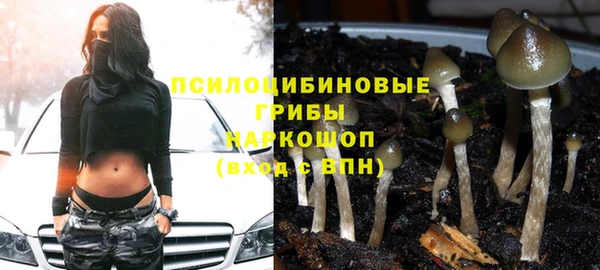 apvp Верхний Тагил