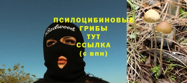 apvp Верхний Тагил