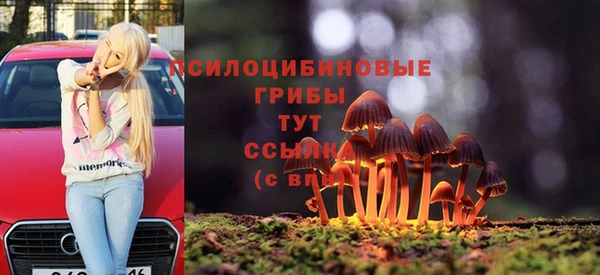 гидра Верея